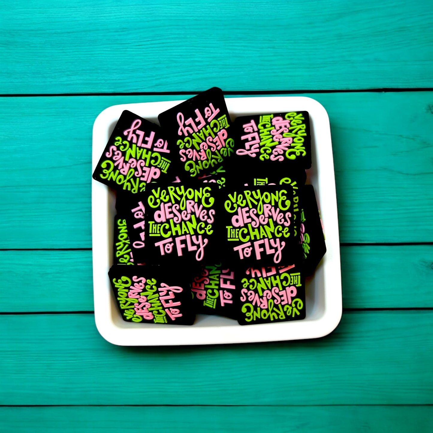 Everyone Deserves a Chance to Fly