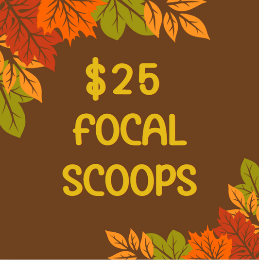 $25 Focal Scoops & Goodies